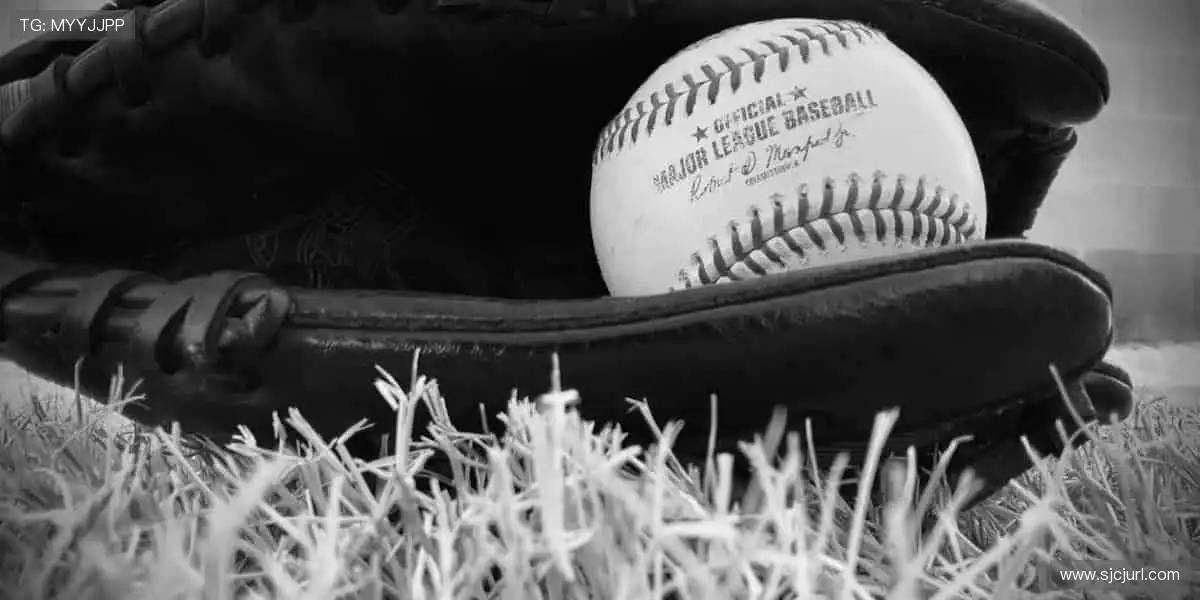 实时解说，身临其境！🎧📸